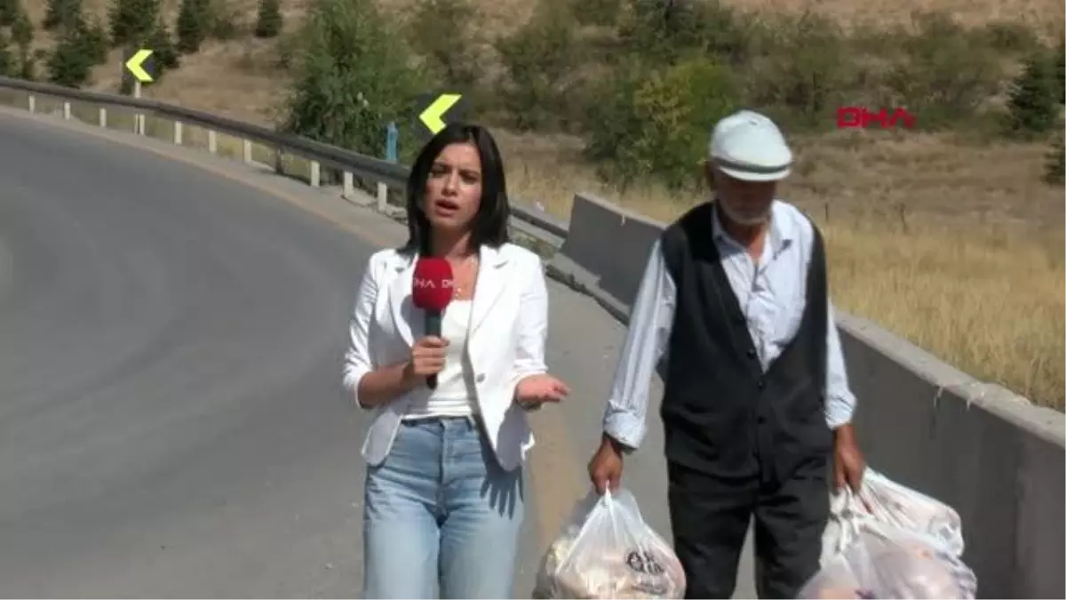 SOKAK HAYVANLARI İÇİN HER GÜN 15 KİLOMETRE YOL GİDİYOR