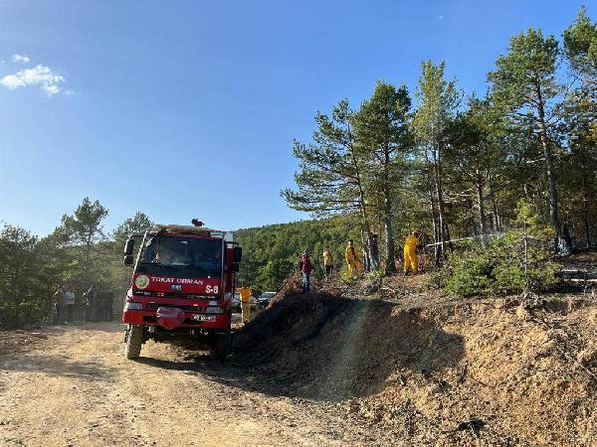 Tokat haberi... Tokat orman yangını (2)