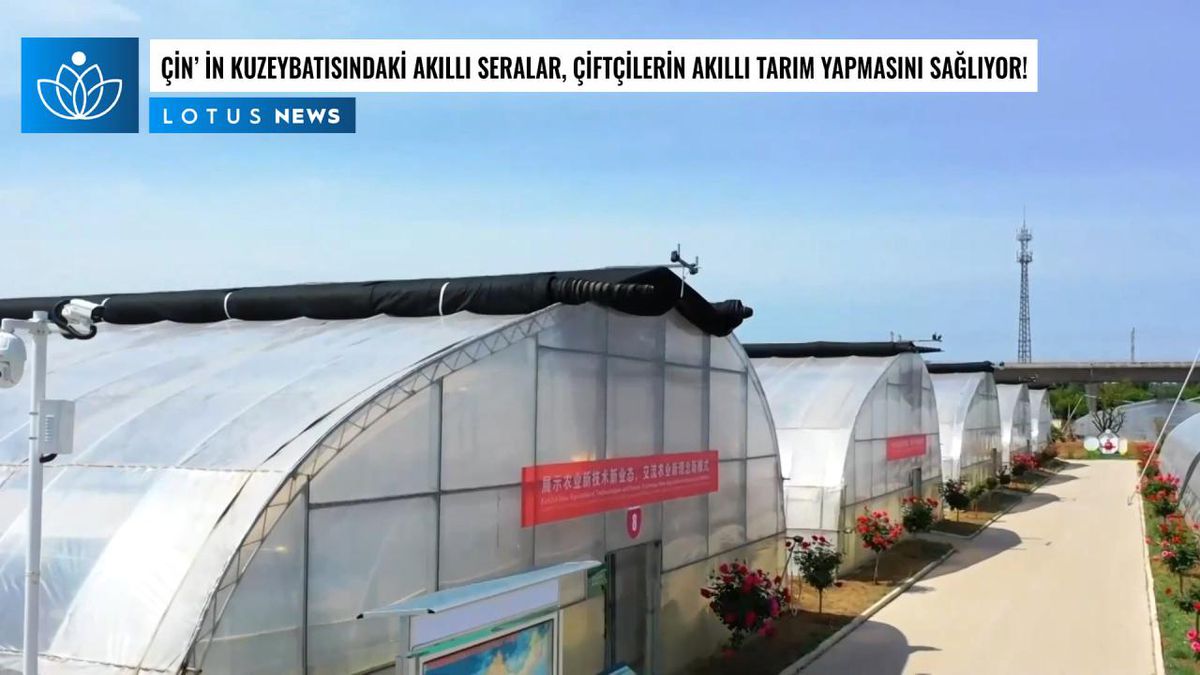 Video: Çin\'in Kuzeybatısındaki Akıllı Seralar, Çiftçilerin Akıllı Tarım Yapmasını Sağlıyor