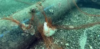 'Marka'sız ağ ile avlanan balıkçılara ceza