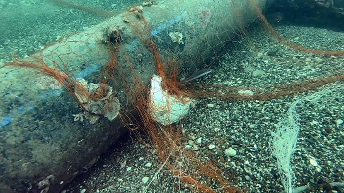 'Marka'sız ağ ile avlanan balıkçılara ceza