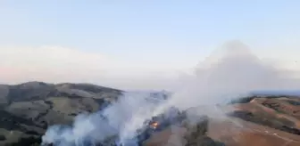 Adana'da çıkan orman yangınına müdahale ediliyor