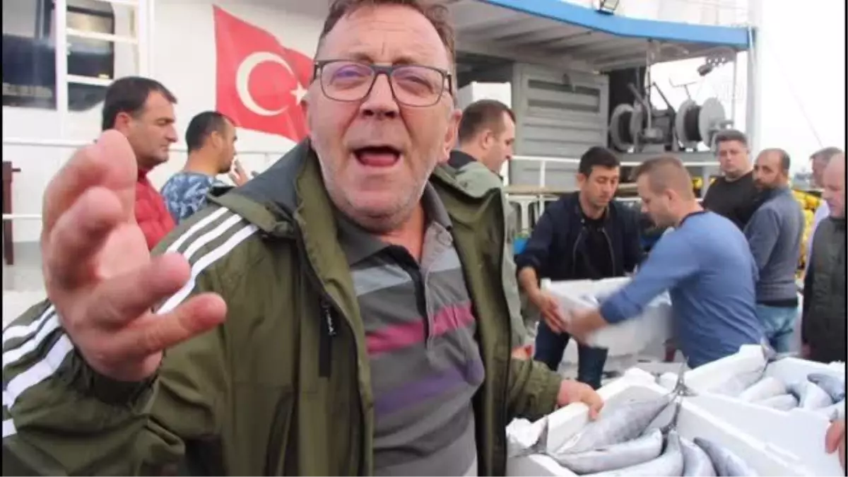 Bandırma Balık Hali\'nde palamut bolluğu yaşanıyor