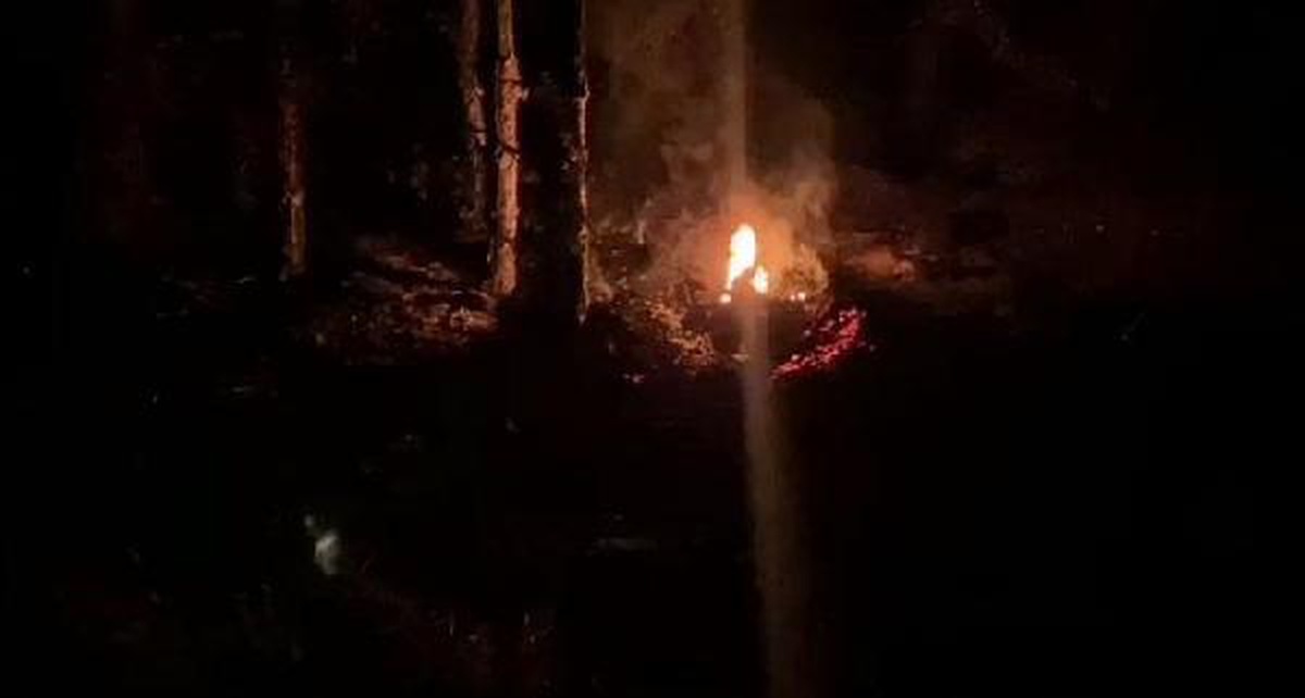 Son dakika haber: Bolu\'da, orman yangını çıkarmaya çalıştığı iddiasıyla 2 şüpheli gözaltına alındı