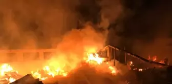 Erzurum'da kereste fabrikasında çıkan yangın söndürüldü