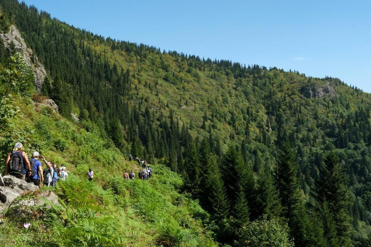 Giresun\'da "otçu göçü" yolları gün yüzüne çıkarılıyor