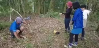 Meksika 7.6 şiddetindeki depreme ait görüntüler ortaya çıktı