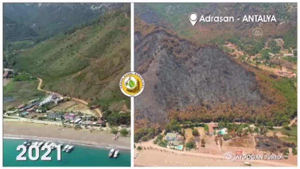 Orman Genel Müdürlüğü, Adrasan\'da 5 yıl önce yanan ormanlık alanın son halini paylaştı