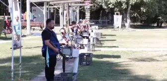 Sakarya'da 'TBESF Paratrap Federasyon Kupası' başladı