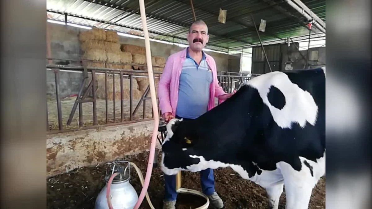 Süt Üreticileri, Ulusal Süt Konseyi\'nin Fiyat Artırmamasına Tepkili: "Çiftçi Bu Kadar Bezdirilir mi Zarar Zarar Nereye Kadar?"
