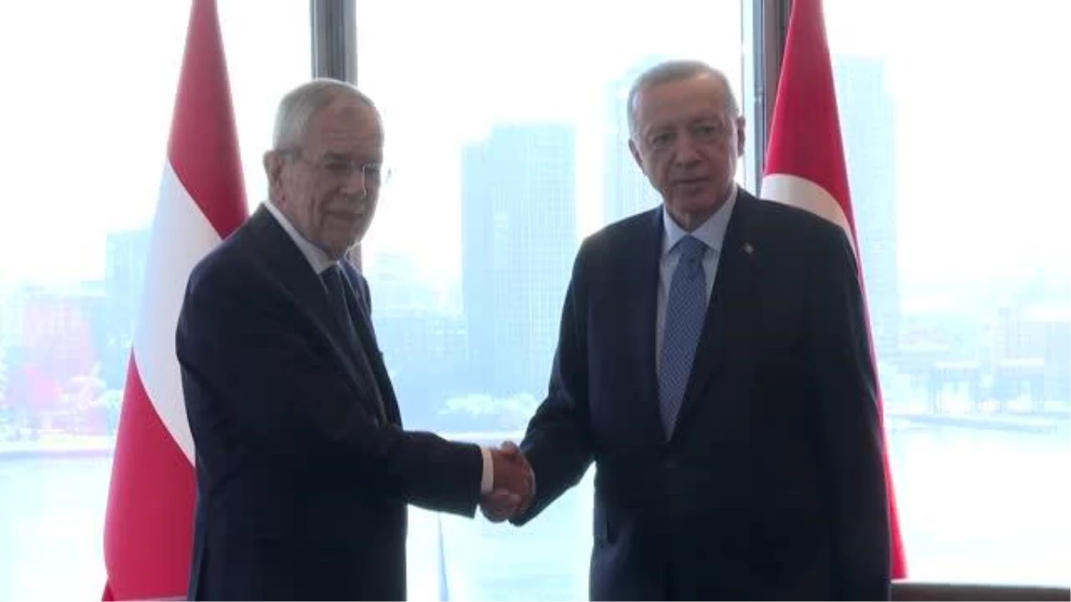 Cumhurbaşkanı Erdoğan, Avusturya Cumhurbaşkanı Van der Bellen ile görüştü