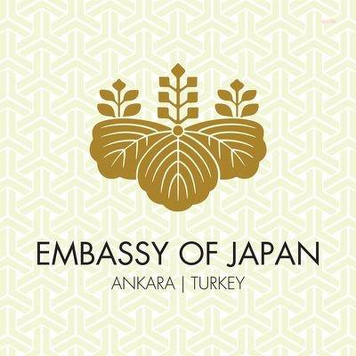 Japonya Büyükelçiliği: "İki Lider Japonya-Türkiye Ekonomik İşbirliği Anlaşması Müzakerelerinin Hızlandırılması Konusunda Fikir Birliğine Ulaşmıştır"