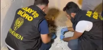 İzmir'deki uyuşturucu operasyonunda 2 kişi yakalandı