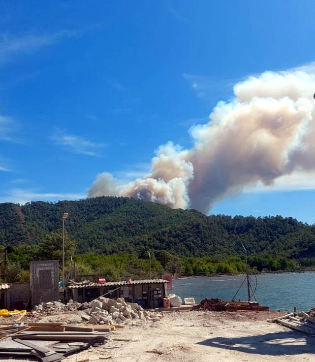 Muğla'da orman yangını! Ekipler yangına havadan ve karadan müdahale ediyor Muğla'da orman yangını! Ekipler yangına havadan ve karadan müdahale ediyor
