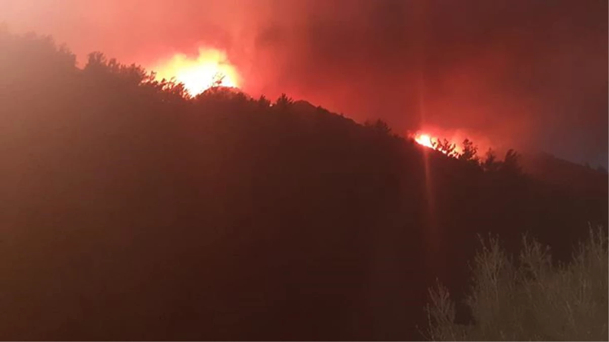 Muğla Marmaris\'te çıkan orman yangını saatlerdir devam ediyor! Rüzgarın etkisiyle büyüyor