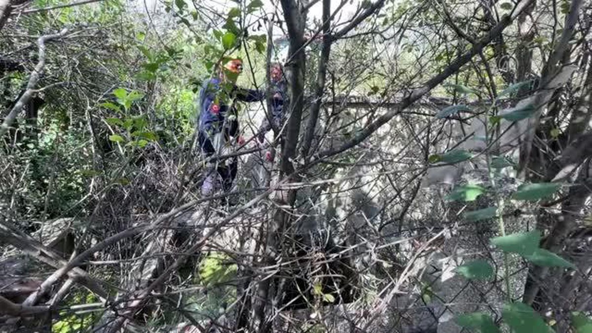 Bolu\'da su kuyusuna düşen köpeği itfaiye ekipleri kurtardı