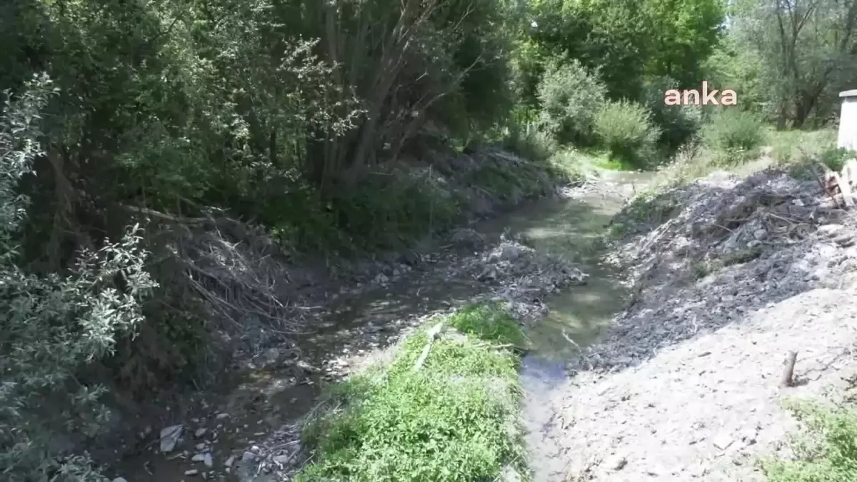 Ankara Büyükşehir\'den Başkentli Afetzede Çiftçilere Kaba Yem Desteği