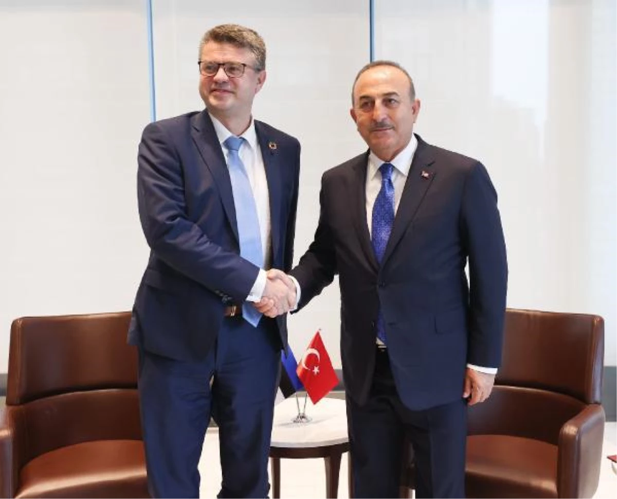 Bakan Çavuşoğlu, Estonya Dışişleri Bakanı Reinsalu ile görüştü