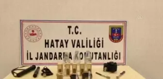 Hatay'da böcek türlerini yasa dışı toplayan yabancı uyrukluya para cezası