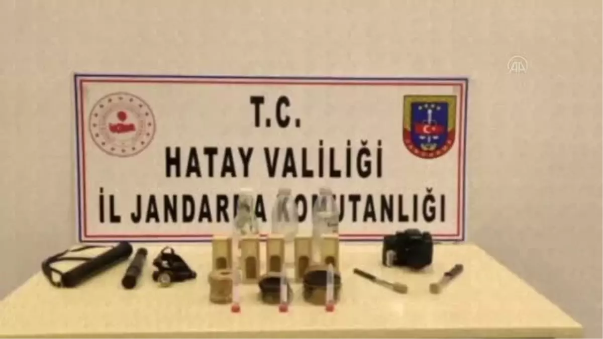 Hatay'da böcek türlerini yasa dışı toplayan yabancı uyrukluya para cezası