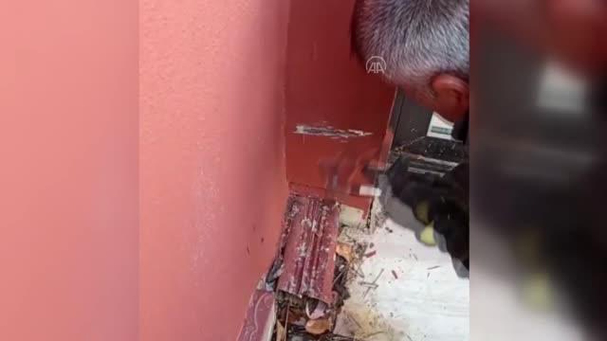 Sivas\'ta duvara sıkışan yavru kedileri itfaiye kurtardı