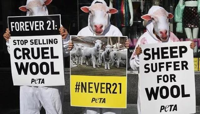 Hayvanlara Etik Muamele İçin Mücadele Edenler Örgütü (PETA): Et yiyen erkeklerin cinsel ilişkiye girmesi yasaklansın
