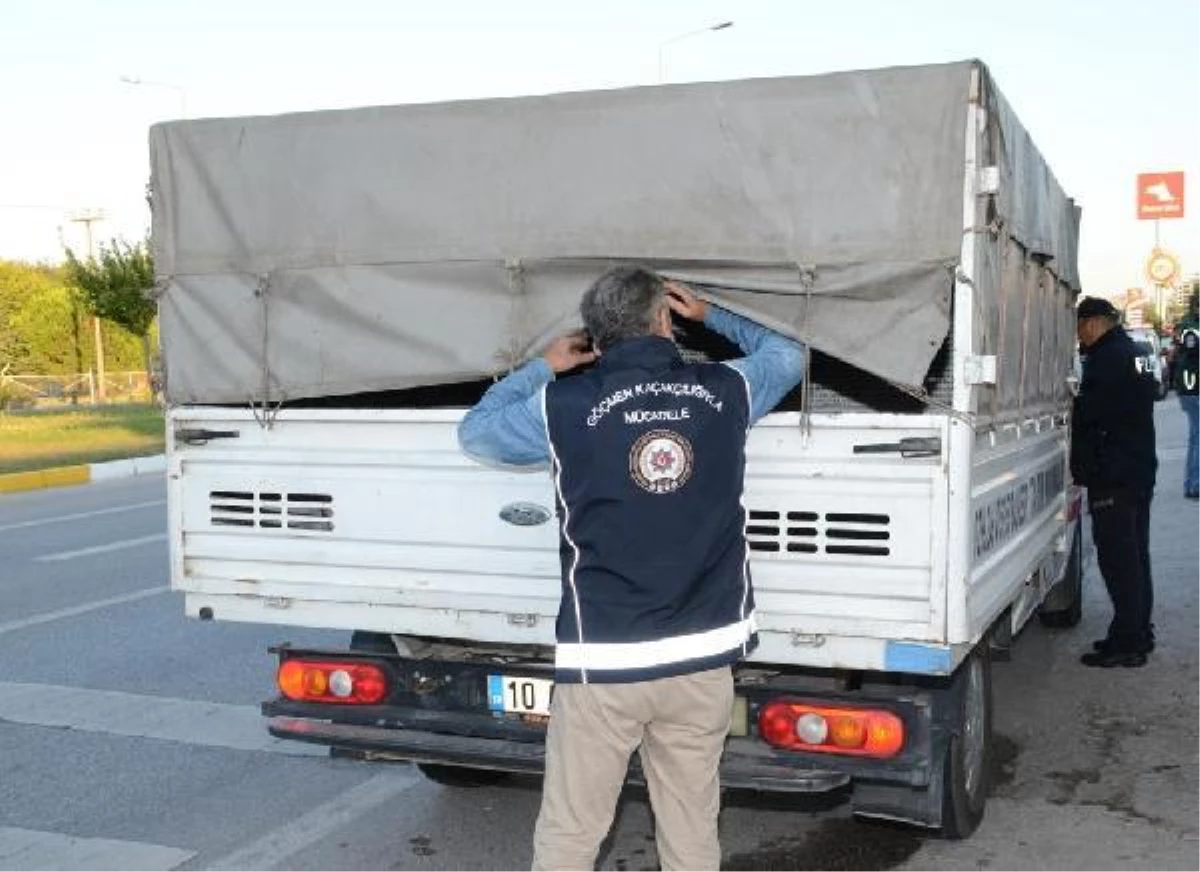 81 ilde uygulama; 1441 düzensiz göçmen yakalandı