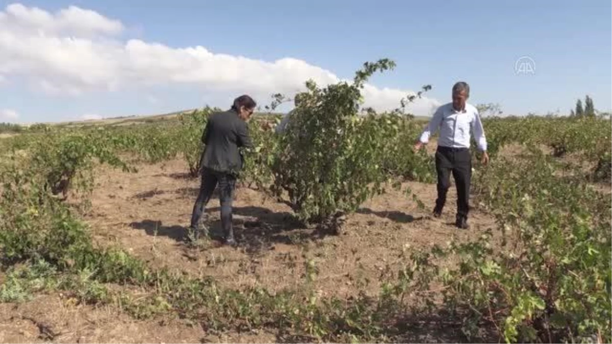 Nevşehir\'de dolu ve selden zarar gören köylerde hasar tespit çalışması