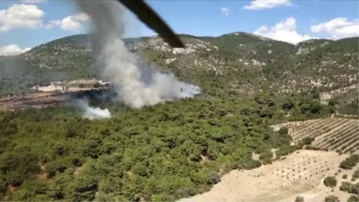 İzmir Bergama\'da çıkan orman yangınına müdahale ediliyor