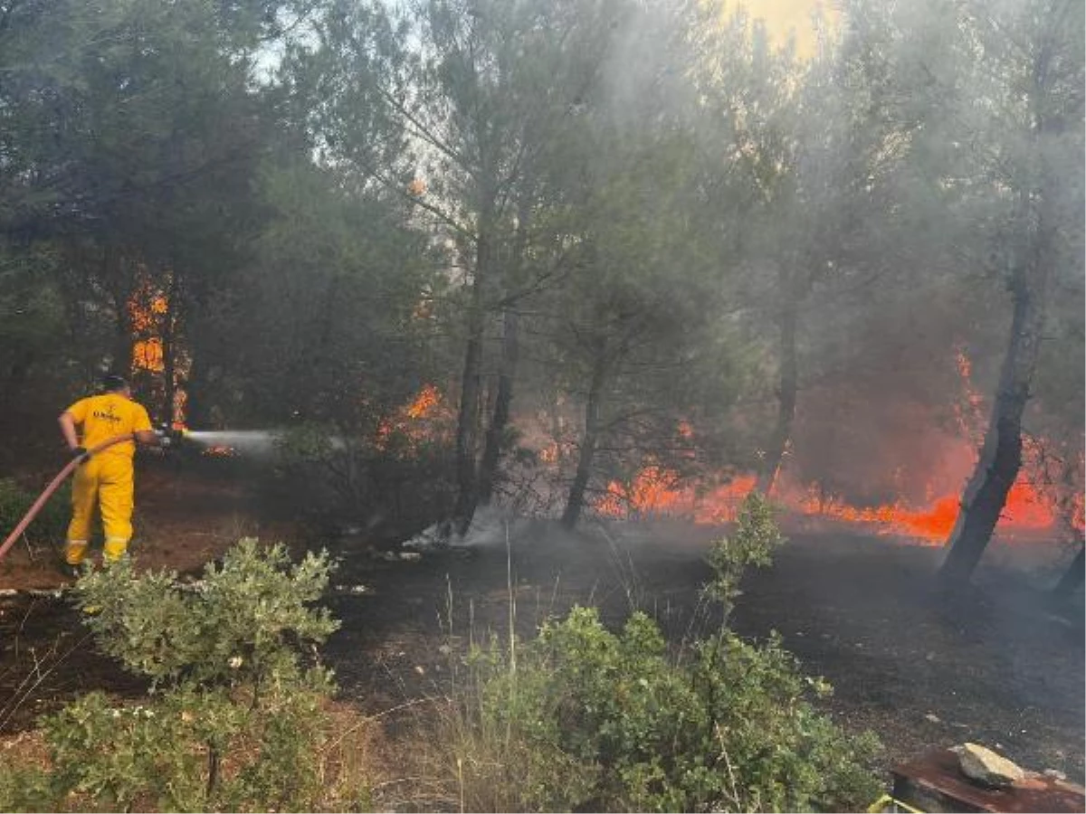 Son dakika haberleri | İzmir\'de orman yangını (2)