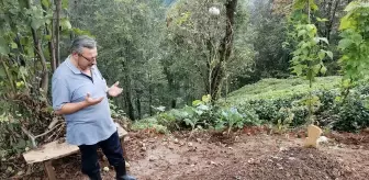 Trabzon'da üç kardeş 23 gün içinde vefat etti