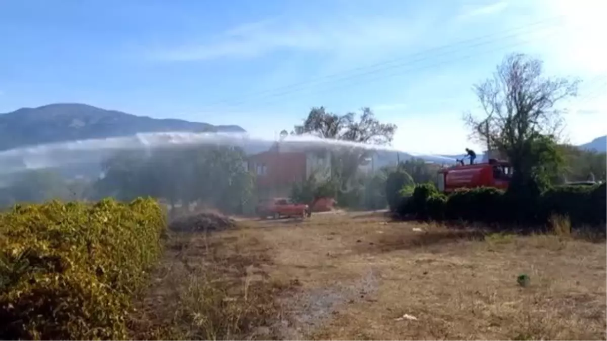 Manisa\'da üzüm bağında çıkan yangın söndürüldü