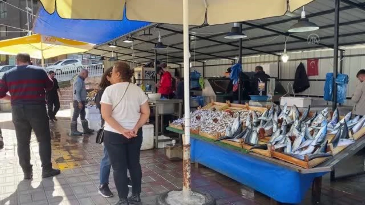 Zonguldak\'ta yağış, balık fiyatlarını yükseltti