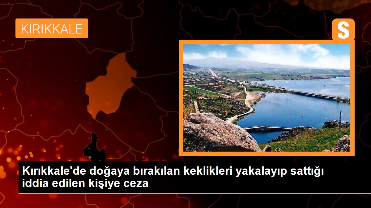 Kırıkkale\'de doğaya bırakılan keklikleri yakalayıp sattığı iddia edilen kişiye ceza