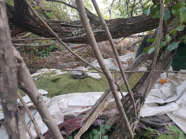 PKK'nın finans kaynağına darbe! Lice'de 630 kilo esrar ele geçirildi PKK'nın finans kaynağına darbe! Lice'de 630 kilo esrar ele geçirildi