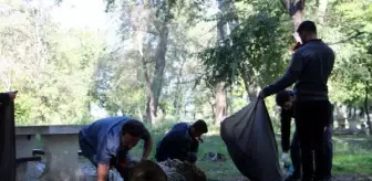 Edirne haberleri | Türk, Yunan ve Bulgar gençler Edirne'de çevre temizliği yaptı