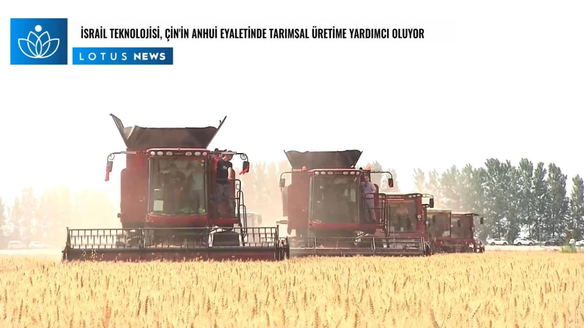 Video: İsrail Teknolojisi, Çin\'in Anhui Eyaletinde Tarımsal Üretime Yardımcı Oluyor