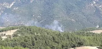Adana gündem haberleri... Adana'da 2 ilçede orman yangını (1)