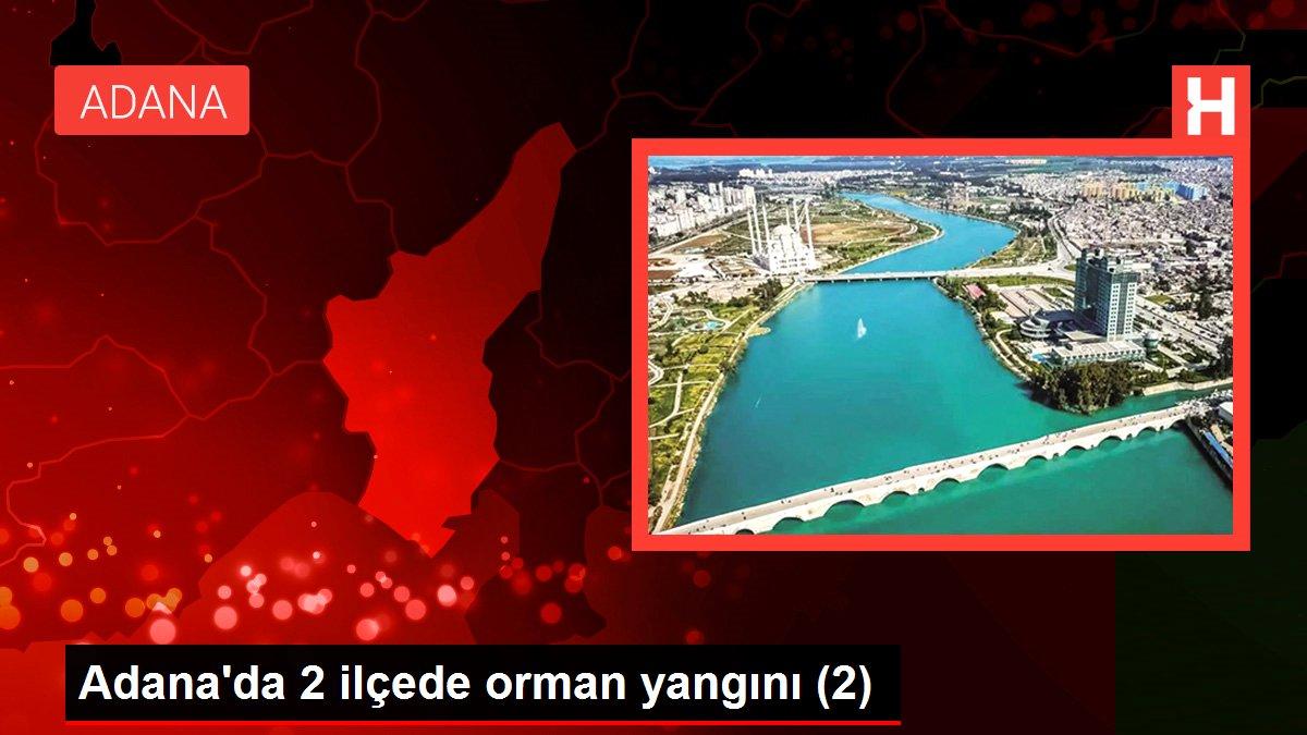 Adana haberleri! Adana'da 2 ilçede orman yangını (2)