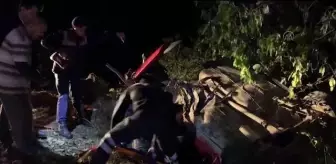 Bolu'da ağaca çarparak ikiye ayrılan otomobildeki 2 çocuk yaralandı