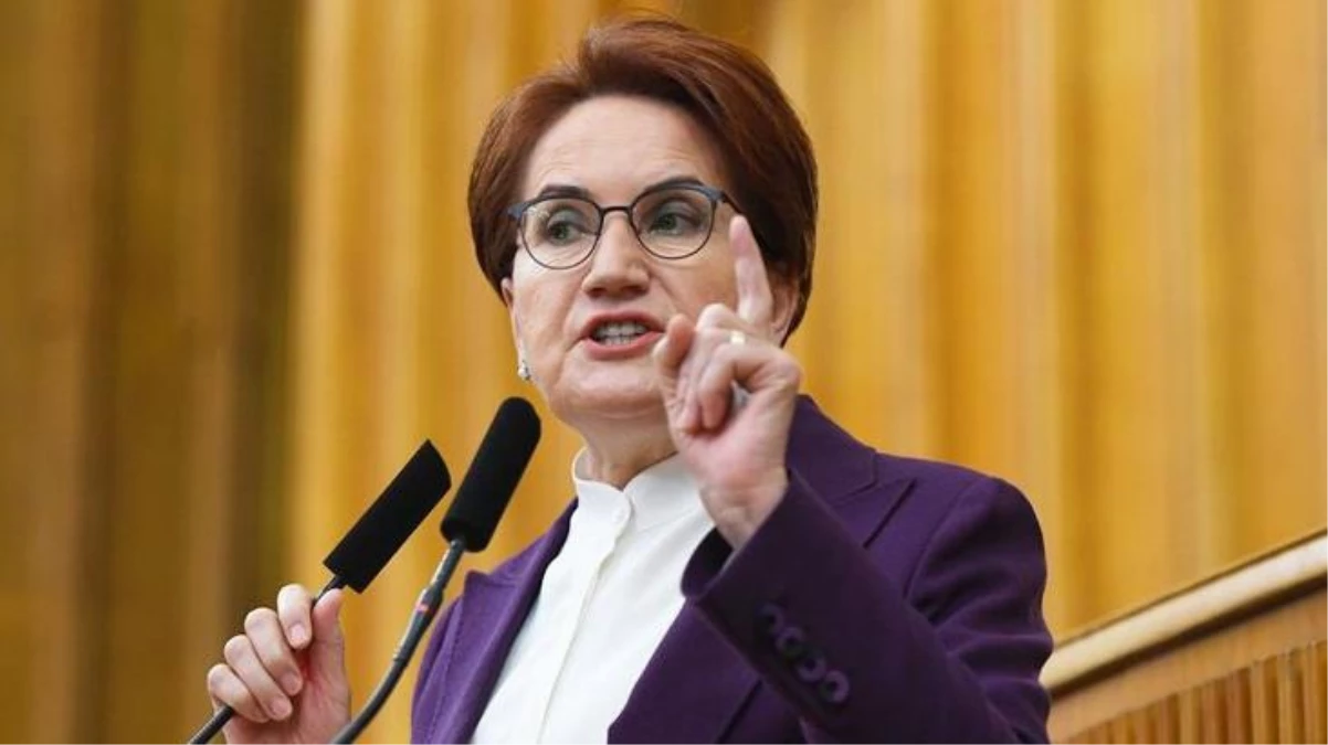 Atatürk\'ün annesine hakaret eden Hasan Akar\'a İYİ Parti lideri Akşener\'den sert ifadeler: O şerefsize gerekeni yapamadım