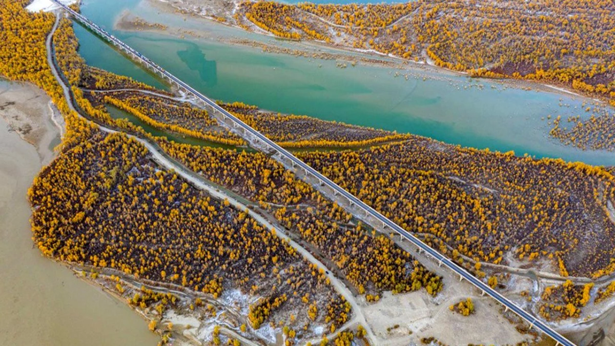 Çin\'de Tarim Nehri\'nin Ana Kolunda 80 Günlük Sel Mevsimi Sona Erdi