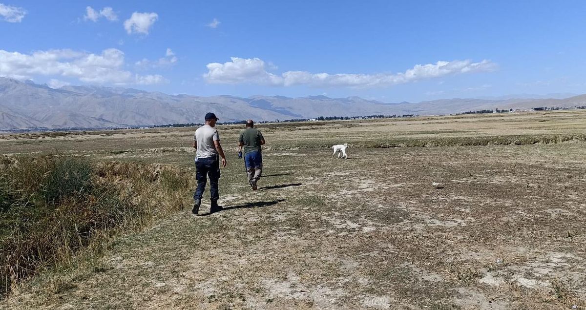 Hakkari\'de kaybolan Alzheimer hastası kadını arama çalışmaları sürüyor
