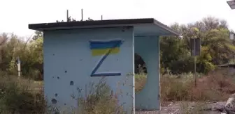 Ukrayna'daki savaşta yok olan köy: Kamiyanka