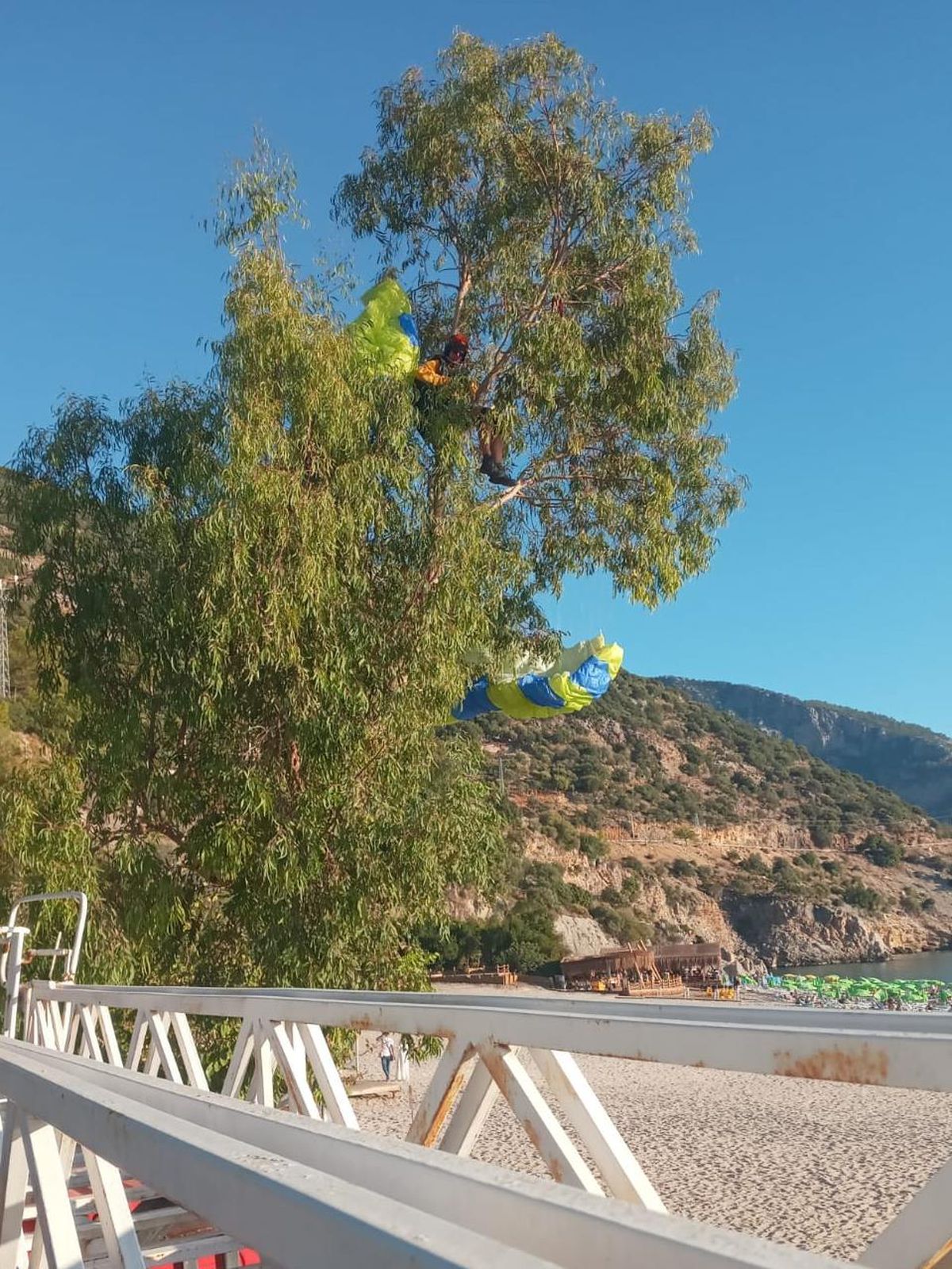 Fethiye\'de yamaç paraşütü ağaca dolanan kişi kurtarıldı