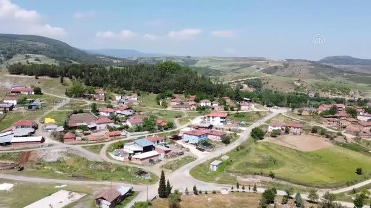 Bilecik\'in raf ömrü bir yılı bulan kestane kabağı Türkiye\'nin birçok iline gönderiliyor