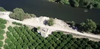 Seyhan Nehri kıyısında hafriyat ve atık kirliliği