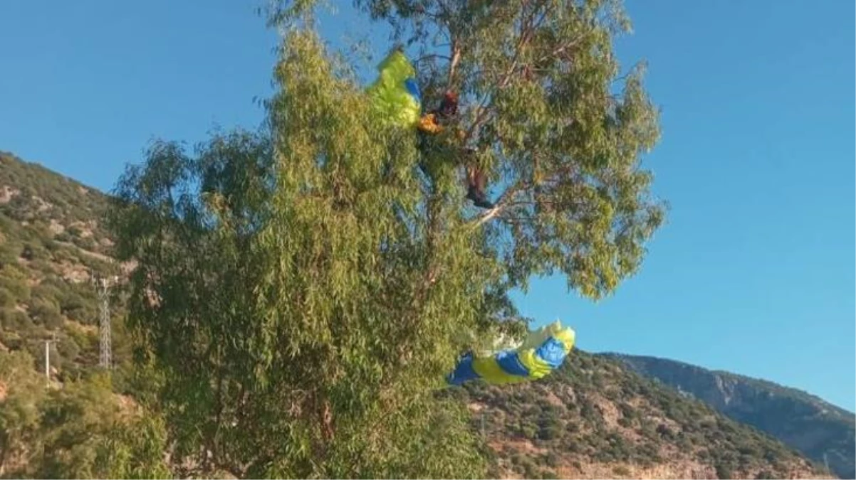 1700 metreden atlayan paraşütçü kontrolünü kaybedince ağaç dallarına takıldı