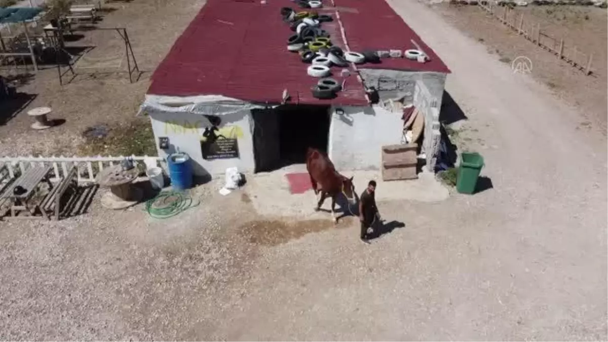 Ata sporunu yaşatmak için at çiftliği açtı