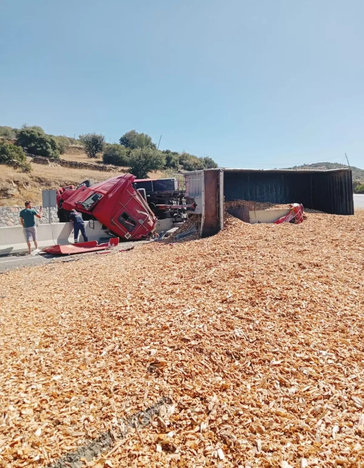 Aydın'da devrilen tırın sürücüsü hayatını kaybetti